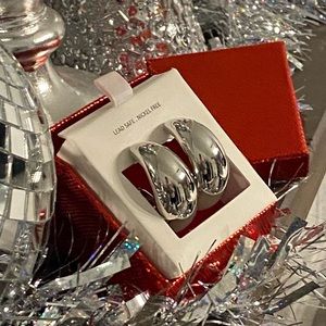 Silver earrings trendy shape